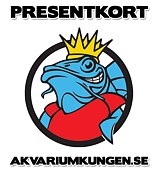 Presentkort - 200kr