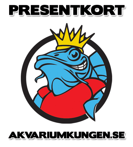 Presentkort - 500kr