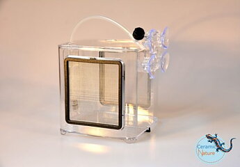 Zizz Aqua - EZ Breeder BL-2