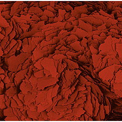 Tropical - Astacolor 11L/2kg