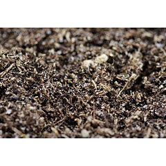 The Pet Factory - Spindelsubstrate 2,5kg