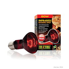 Exo Terra - Infrared Basking Spot 50W