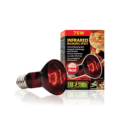 Exo Terra - Infrared Basking Spot 75W
