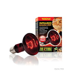 Exo Terra - Infrared Basking Spot 100W