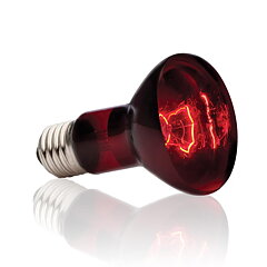 Exo Terra - Infrared Basking Spot 150W