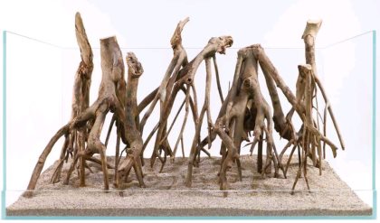 Aquadeco - Talawa Wood
