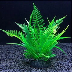 AK - Fern 13cm