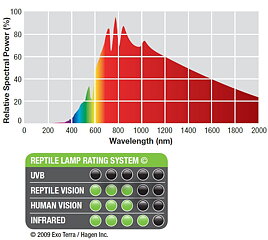 Exo Terra - Daylight Basking Spot 100W