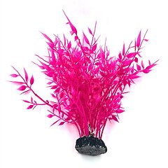 AK - Bambu Pink 22cm
