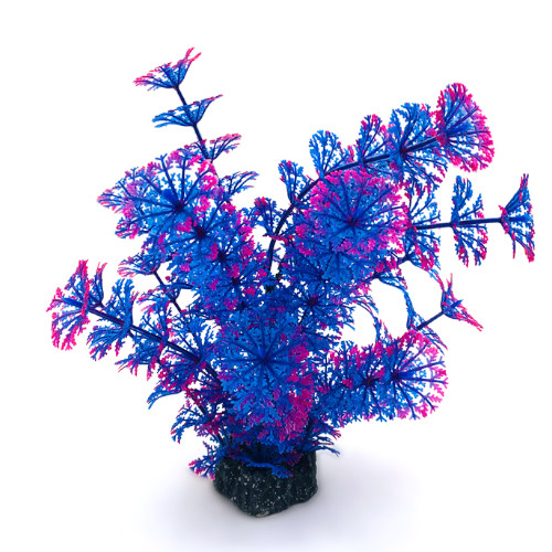 AK - Cabomba blå/lila/rosa 19cm