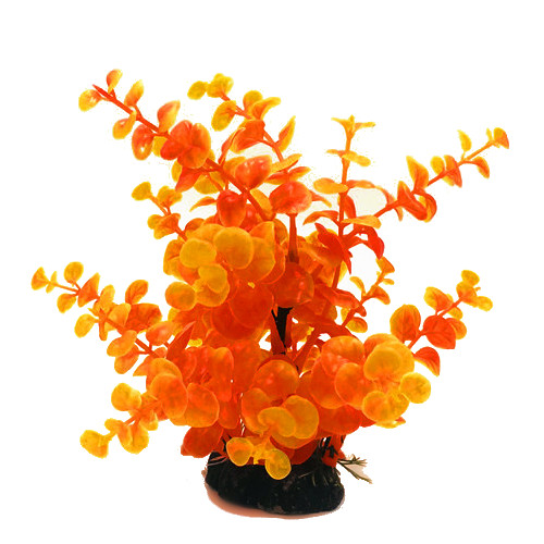 AK - Limnobium Orange 19cm