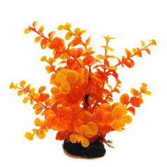 AK - Limnobium Orange 19cm