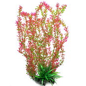AK - Rotala Bonsai Grön/Röd 55cm