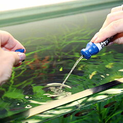 JBL - Proclean Bac 50ml