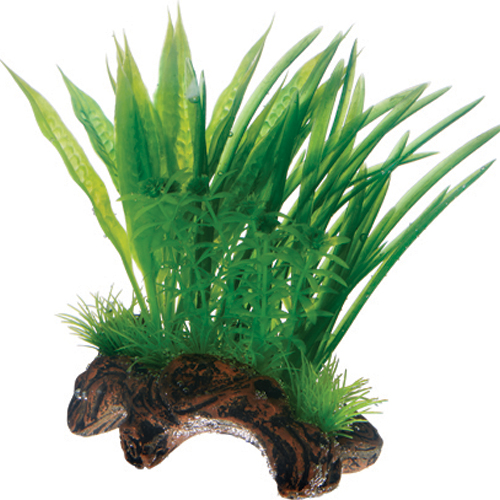 Hobby - Flora root 1 S