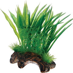 Hobby - Flora root 1 S