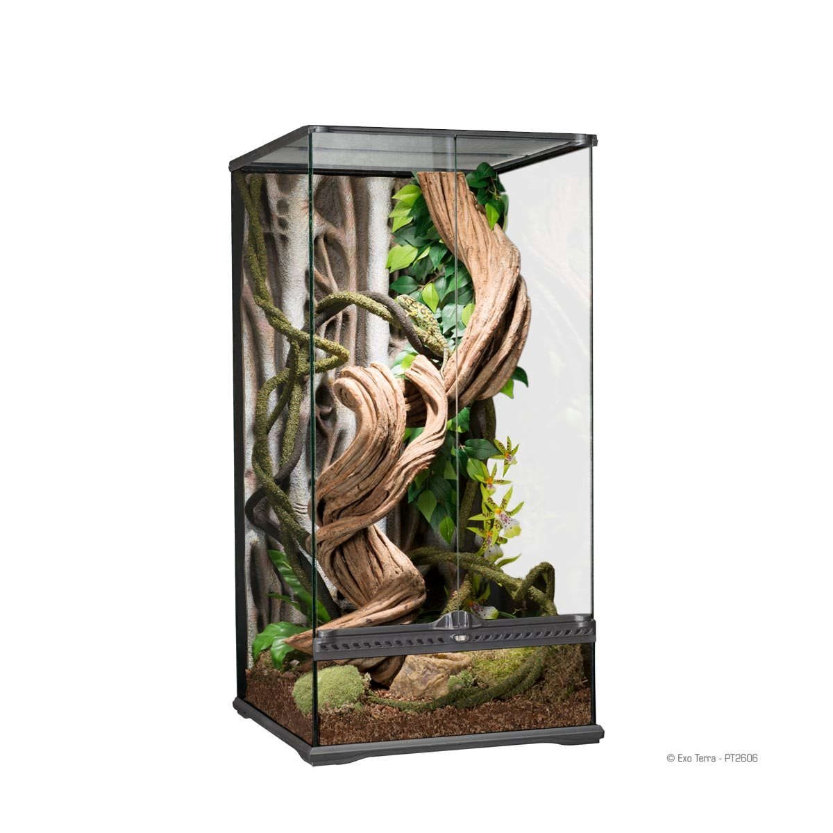 Exo Terra Xtall Terrarium Small 45x45x90cm Akvariumkungen.se