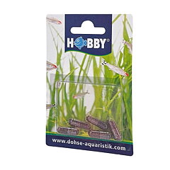 Hobby Planaria X - Special Bete