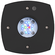 AI - Prime 16HD Reef Svart - Ink drivdon