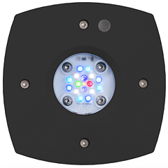 AI - Prime 16HD Reef Svart - Ink drivdon