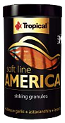 Tropical - America M 250ml/150g