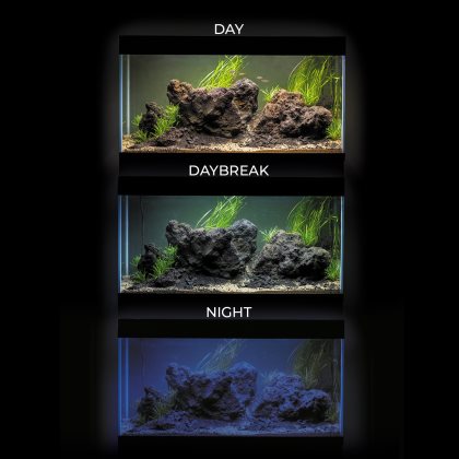 Aquael - Optiset 240 Akvarium med möbel & belysning - Svart - 6