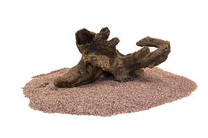 RockZolid - Driftwood 1