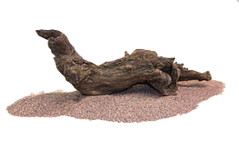 RockZolid - Driftwood 2