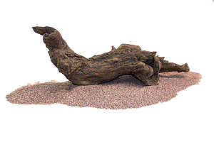 RockZolid - Driftwood 2