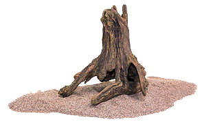 RockZolid - Driftwood 5
