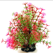 AK - Hottonia Rosa/Grön 19cm