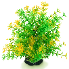 AK - Hottonia Grön/Gul 19cm