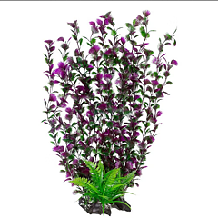 AK - Spikewort Grön/Lila 55cm