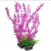 AK - Rotala Rosa/Vit 55cm
