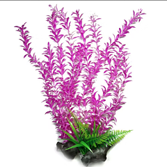 AK - Rotala Rosa/Vit 55cm