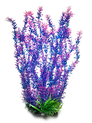 AK - Rotala blå/lila med rosa detaljer 55cm