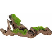 Zolux - Kipouss Malaysia Root S