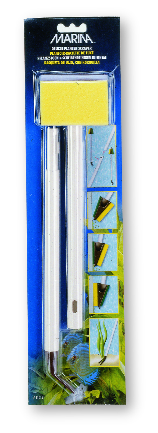 Marina - Algskrapa svamp 30-50cm