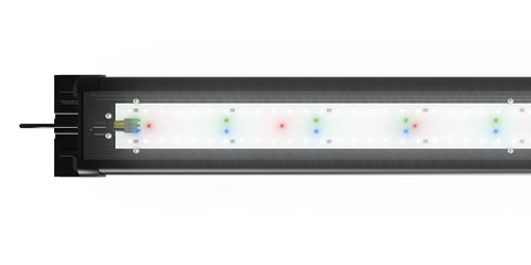 Juwel - Helialux Spectrum 1500 60W