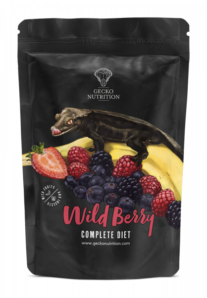 Gecko Nutrition - Wild Berry och Banana 250g