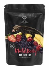 Gecko Nutrition - Wild Berry och Banana 250g