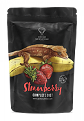 Gecko Nutrition - Strawberry och Banana 250g
