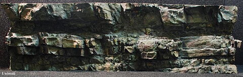 RockZolid - Timor 198x58cm