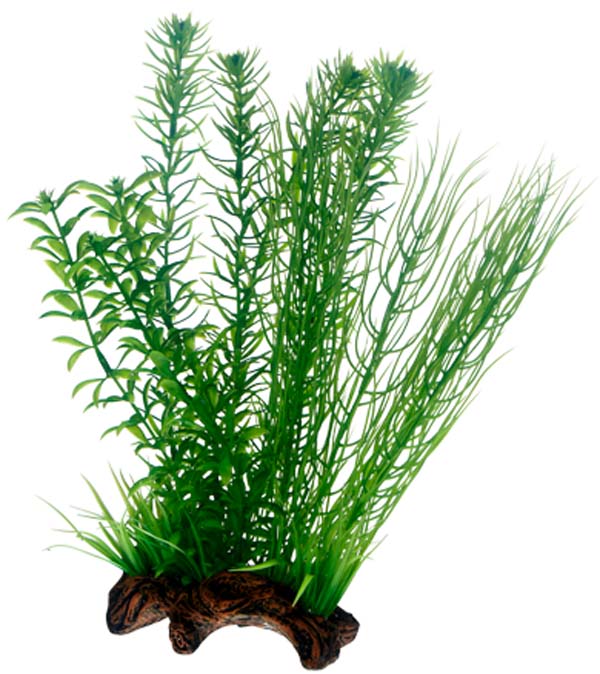 Hobby - Flora Root 2 L