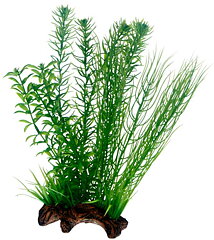 Hobby - Flora Root 2 L