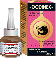Seahorse - Oodinex 20ml