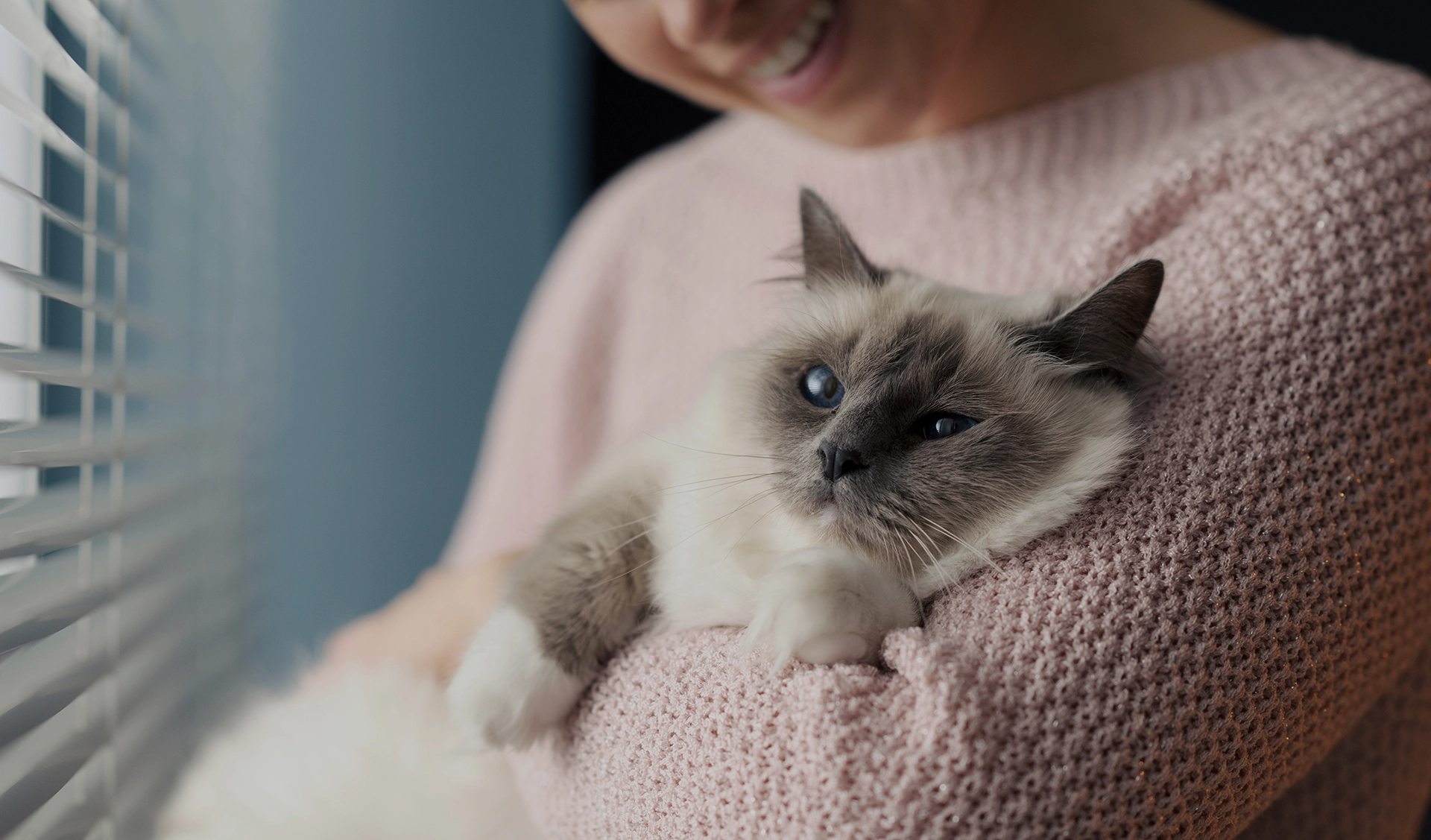 Allt din katt behöver – och lite till! 🐾 Ge din katt ett liv i lyx med våra noggrant utvalda kattillbehör! Allt för att både du och din katt ska trivas 🛍️ Se vårt sortiment här!