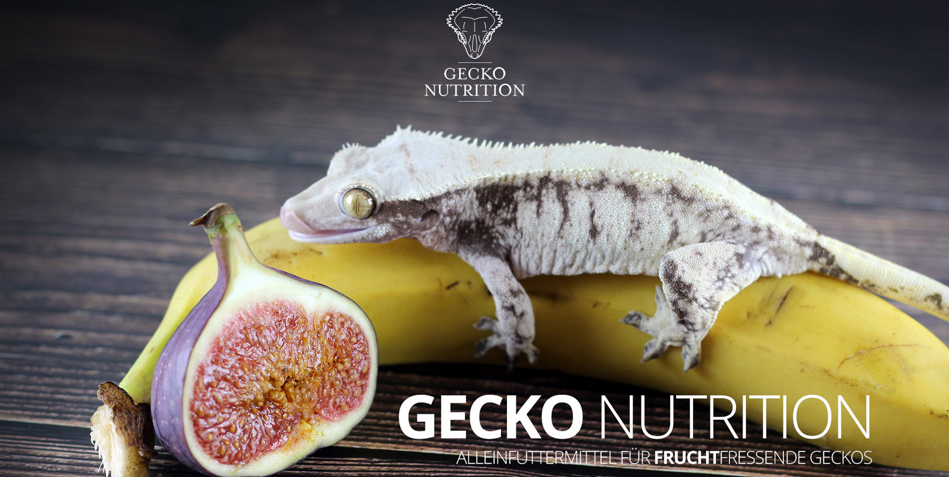 Gecko Nutrition