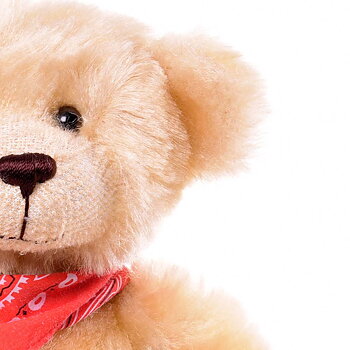 Teddybjörnen Fredriksson (Lasses original)