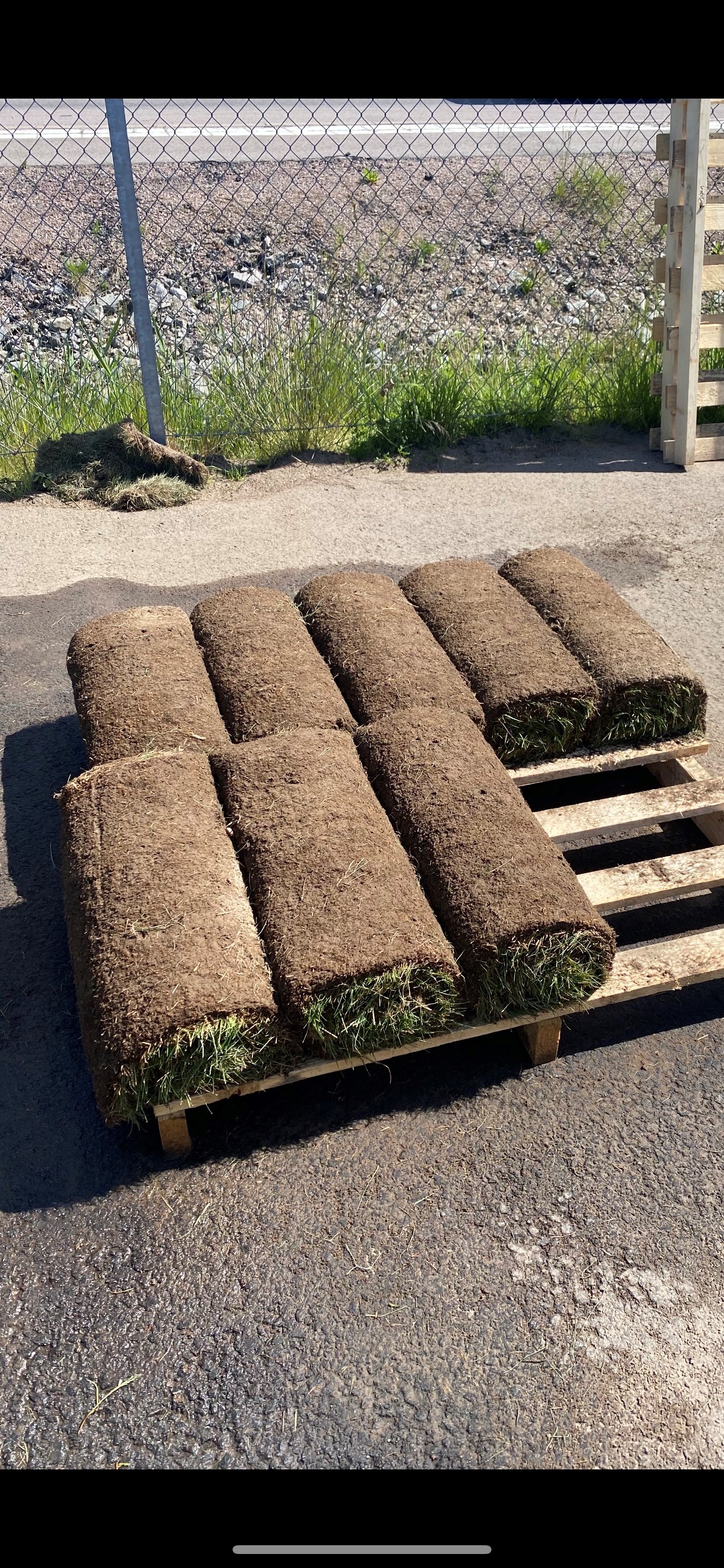 Färdg gräsmatta 